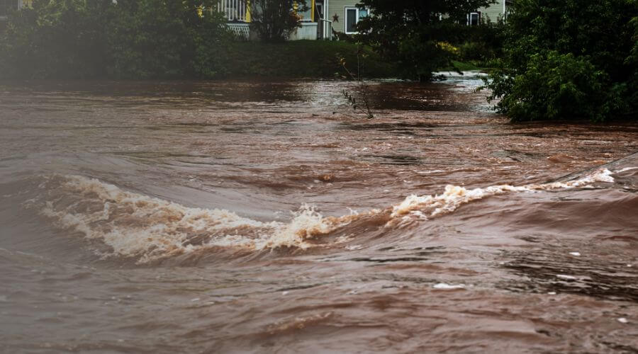 Why choose water damage restoration service for basement flood restoration services in Long Beach